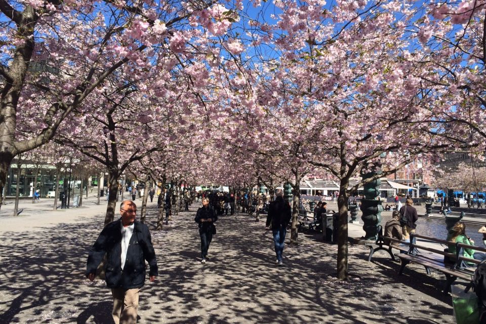 Stockholm: First Discovery Walk and Reading Walking Tour - Customer Reviews and Ratings