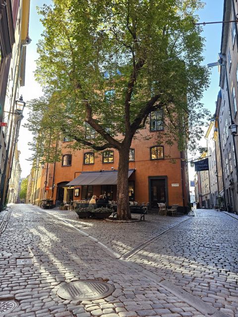 Stockholm: Gamla Stan Secrets and Old Town Walking Tour - Tips for Your Walking Tour