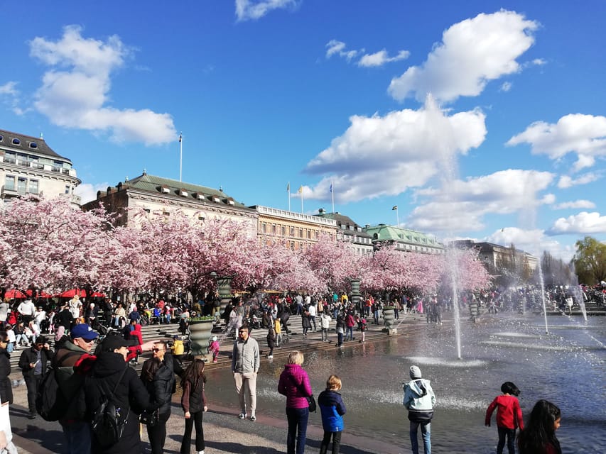 Stockholm:Scandinavian Art, Architecture & Design Experience - Customer Feedback Insights