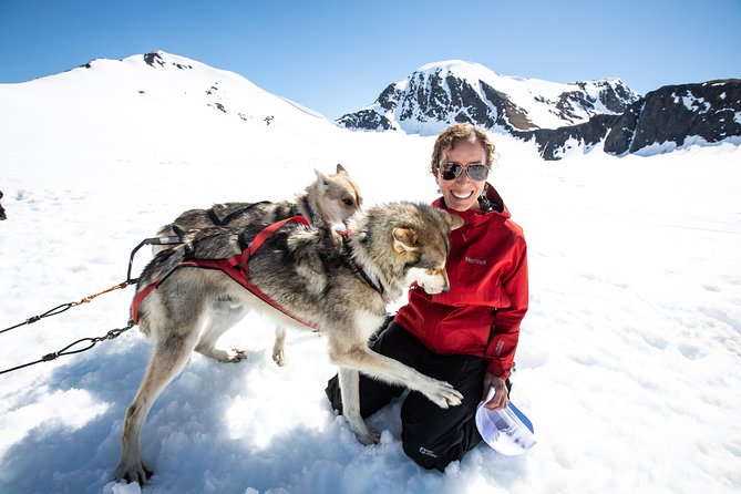Summer Glacier Dogsledding Tour From Girdwood - Booking Information and Tips