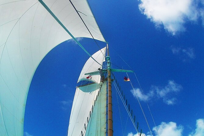 Sunset & Champagne Cruise on a Classic Schooner With Boat Dogs - Accessibility Features