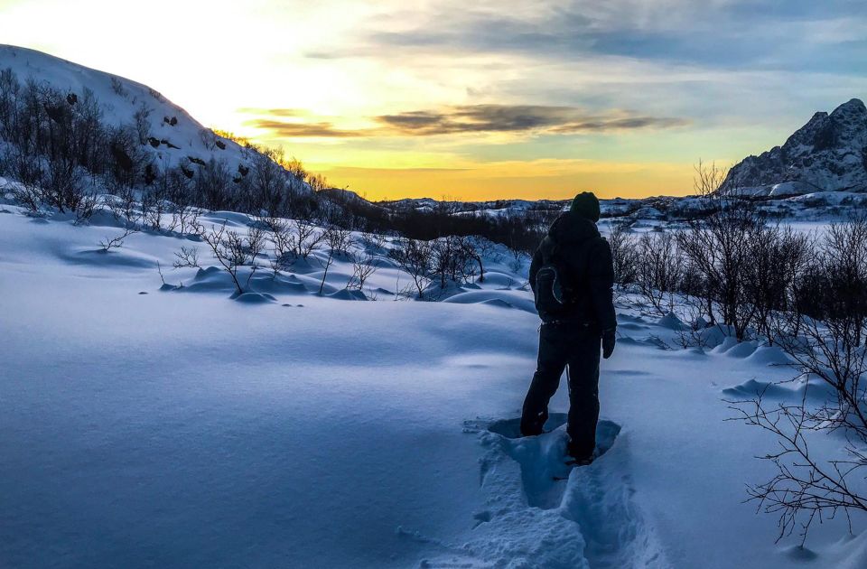 Svolvær: Snowshoe Nature Explorer - Tips for Snowshoeing