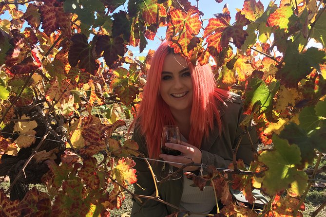 Swan Valley Winery Experience - Full Day Coach Tour - Tips for a Great Experience