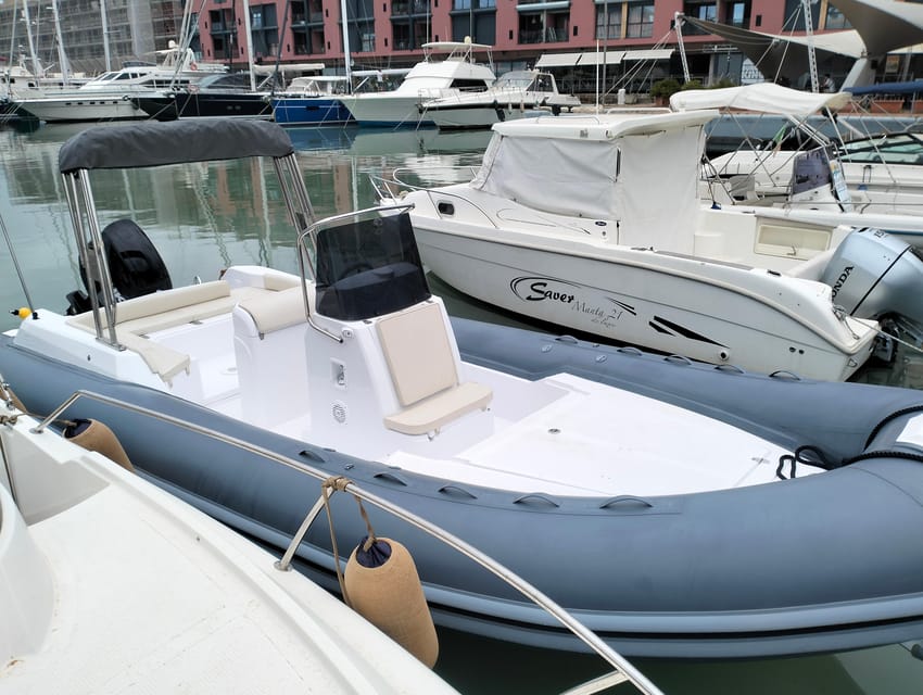 Swimming Cetacea Private Tour Boat Genova Portofino - Recap