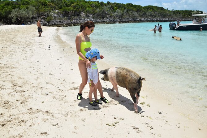 Swimming With Pigs in Nassau, Transportation Included - Nearby Attractions