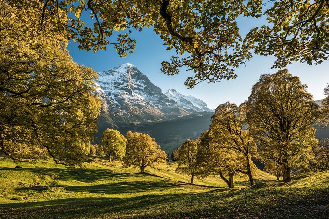 Swiss Villages Grindelwald and Interlaken Day Trip From Zurich - Eco-Friendly Travel Practices