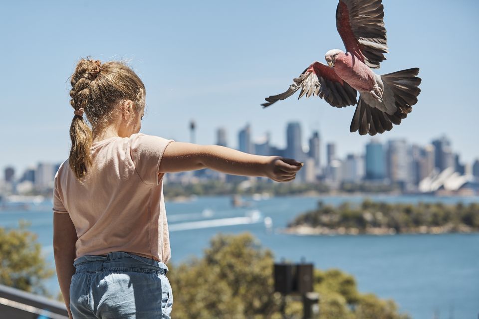 Sydney: Taronga Zoo Ticket With Return Ferry - Frequently Asked Questions