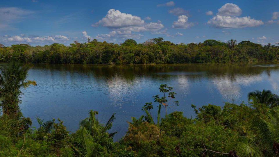 Tambopata: Lake Sandoval Canoeing With Lunch - Booking Instructions