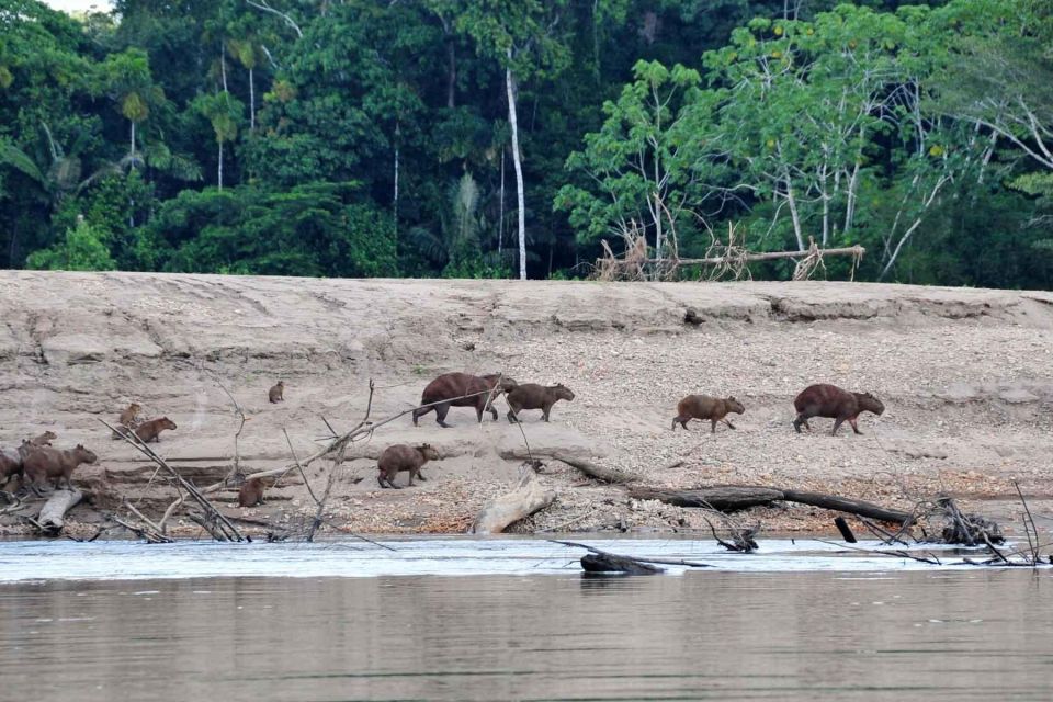 Tambopata National Reserve 4 Days - Frequently Asked Questions