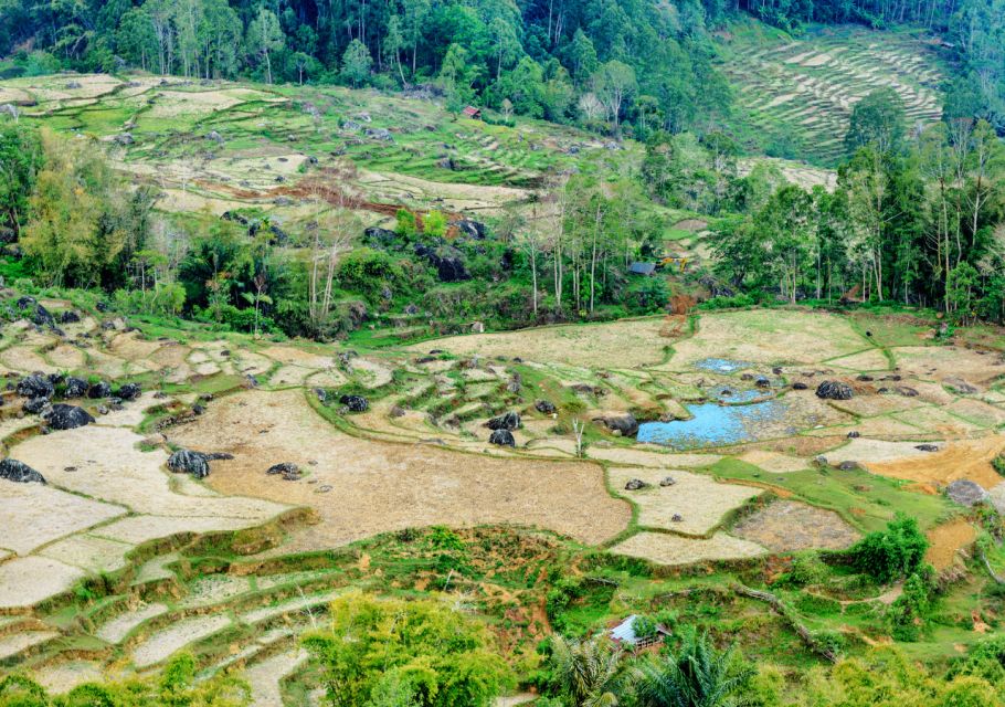 Tana Toraja: Private 3D2N Tour in South Sulawesi - Meeting Point