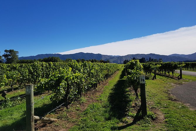 Taste the Valley Wine Tour in Marlborough With Wine Tasting - Booking and Cancellation Policy