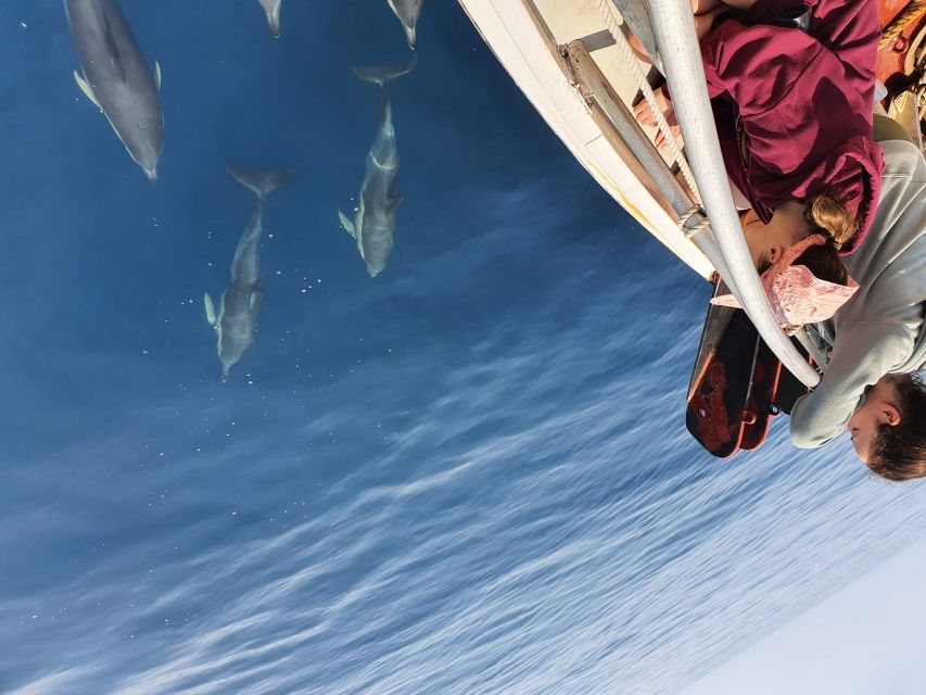 Tauranga: Guided Dolphin and Wildlife Watching Cruise - Onboard Amenities