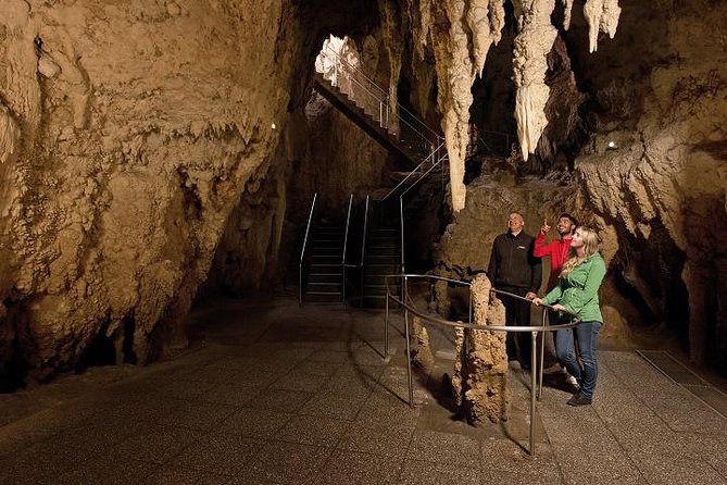 Tauranga Shore Excursion: Waitomo Caves and The Kiwi House - Booking and Meeting Points