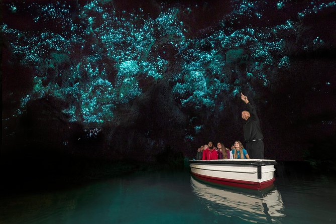 Tauranga - Waitomo : Ancient Glow-Worm Caves Shore Excursion - Booking and Confirmation Process