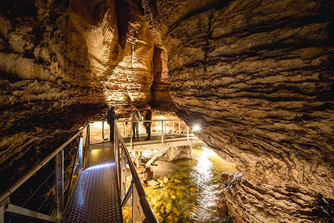 Te Anau Glow Worm Caves Tour - Tips for an Enjoyable Visit