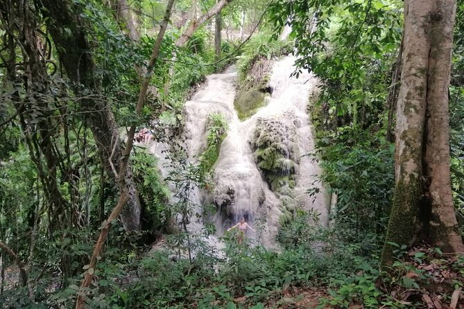 The Best Full Day Tour: Doi Suthep, Wat Phalat, Sticky Waterfall - Booking Information