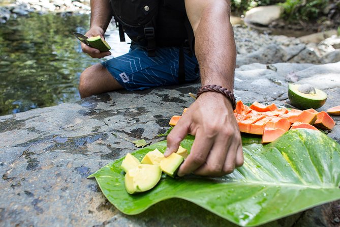 The El Yunque Rainforest and Bio Bay Kayaking Combo Tour - Cancellation Policy