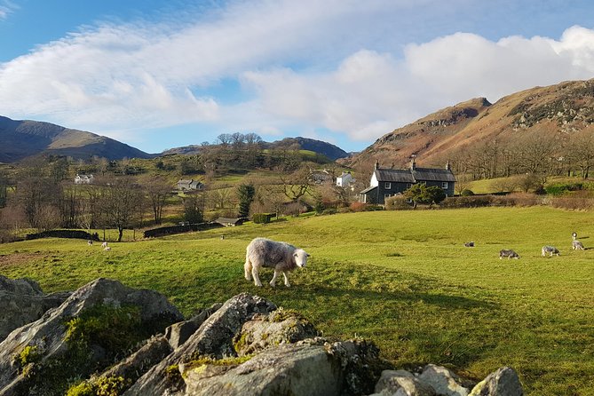 The Lake District From Manchester Including Lake Cruise & Train - Tips for Travelers