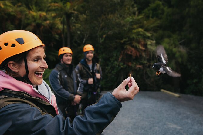 The Original Canopy Zipline Experience Private Tour From Auckland - Tips for a Great Experience