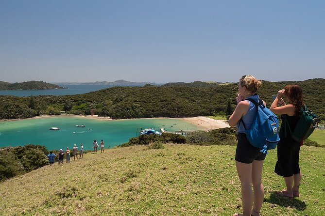 The Original Full Day Bay of Islands Cruise With Dolphins - Tips for Your Trip