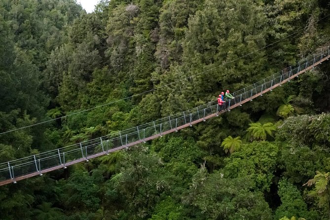 The Ultimate Canopy Zipline Experience Private Tour From Auckland - Customer Reviews and Feedback