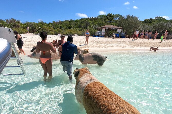 The Ultimate Exuma Day Trip and Island Discovery - Tips for a Successful Trip