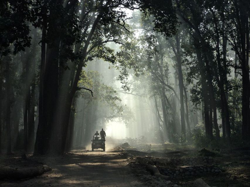 Three Days Jim Corbett National Park Tour - Inclusions and Features