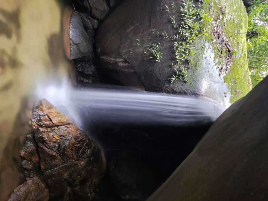 Tijuca Forests Hike: Caves, Waterfalls and Great Views - Customer Experiences