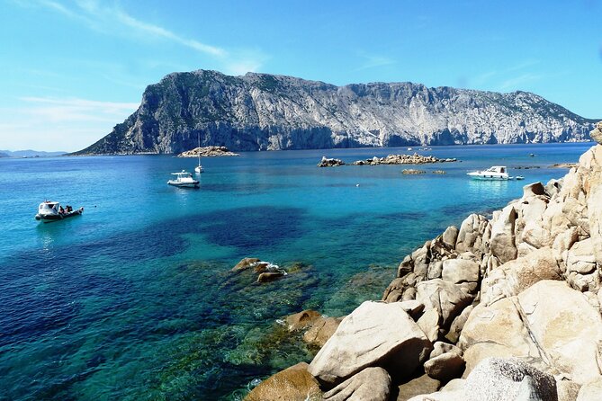Tour in Rubber Dinghy and Snorkeling in the Protected Marine Area of Tavolara - Booking Details