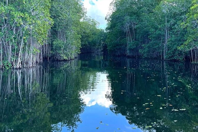 Tour to Black River and YS Falls - Exploring Black River Highlights