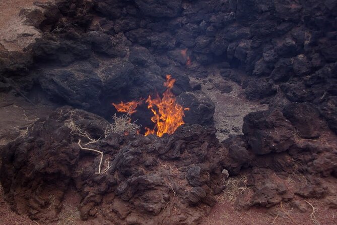 Tour to Timanfaya, La Geria, and La Laguna Verde - Booking and Cancellation Policy