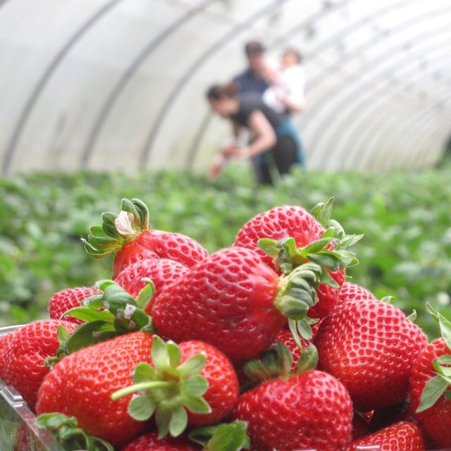 Traditional Cooking Class and Farm Tour in the Douro Valley - Cancellation Policy