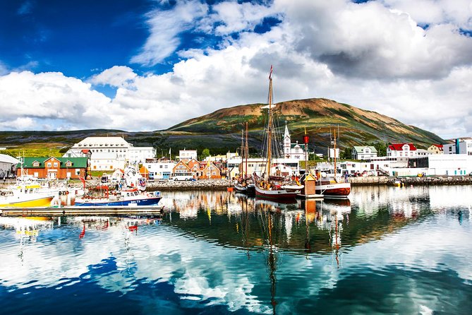 Traditional Oak Ship Whale Watching Tour From Husavik - Cancellation Policy