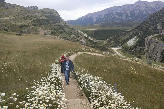 Tranz Alpine Train Tour - Accessibility Information