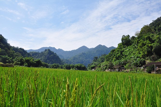 Trekking the Northern Trails of Vietnam 9 Days 8 Nights - Preparation Tips for Travelers