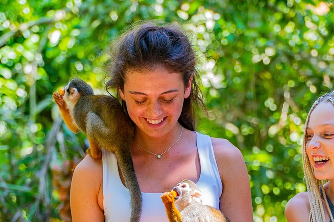 Triple Fun! Monkeyland + Damajagua Waterfalls + Buggies From Puerto Plata - Guest Reviews and Feedback