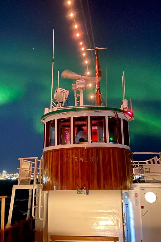 Tromsø: Arctic Light Evening Cruise With Fish Soup - What to Expect