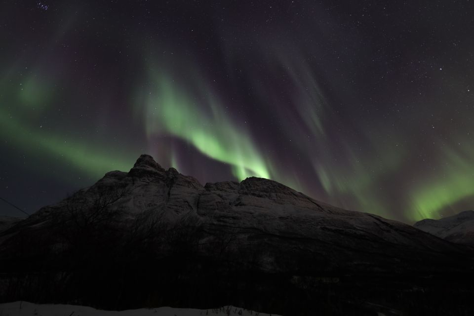 Tromsø: Aurora Borealis Chase With Guide, Meals & Campfire - Tips for a Successful Experience