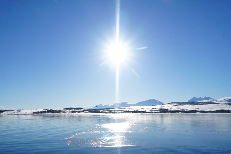 Tromsø: Fjord Cruise by Luxury Yacht - Wildlife and Nature Experiences