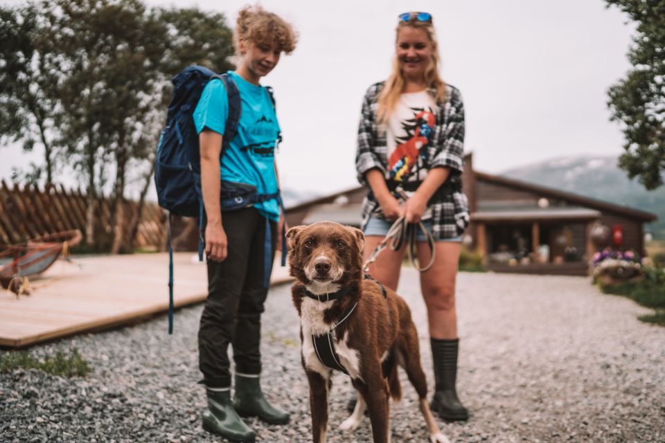 Tromsø: Husky Hike and Puppy Visit With Traditional Lunch - Booking and Cancellation Policy