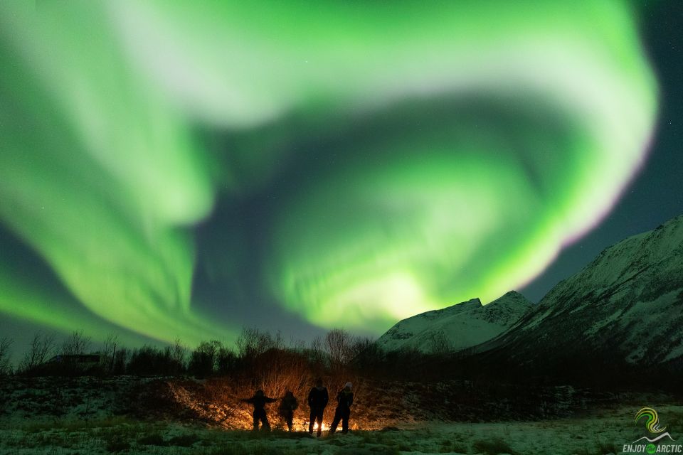 Tromsø: Northern Lights Trip With Campfire and Snacks - Good To Know