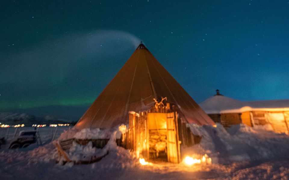 Tromsø: Reindeer Feeding With Chance of Northern Lights - Customer Feedback and Ratings