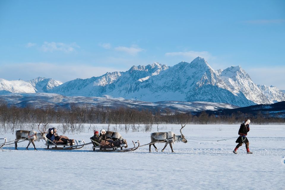 Tromsø: Sami Reindeer Sledding and Sami Cultural Tour - Booking and Cancellation Details