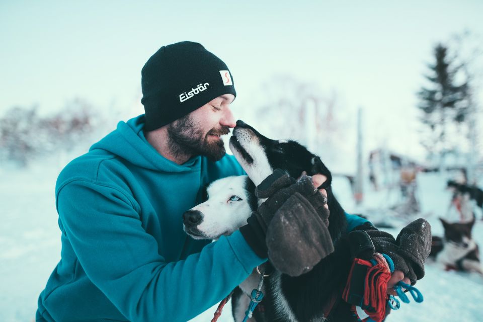 Tromsø: Self-Drive Husky Dog Sledding Adventure - Preparing for Your Adventure