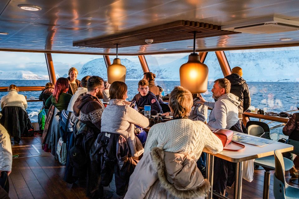 Tromsø: Whale Watching Tour by Hybrid-Electric Catamaran - Frequently Asked Questions