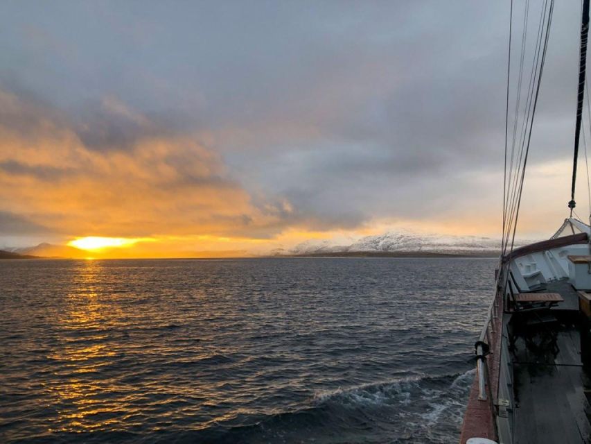 Tromsø:Arctic Fishing & Seafood Fjord Cruise on Luxury Yacht - Customer Reviews