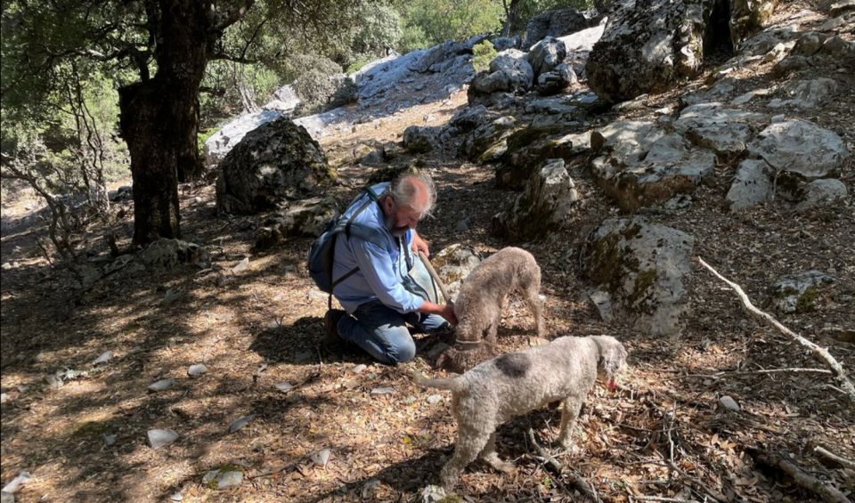 Truffle Hunting, Culinary & Wine Celebration From Heraklion - Local Culture and Artisans