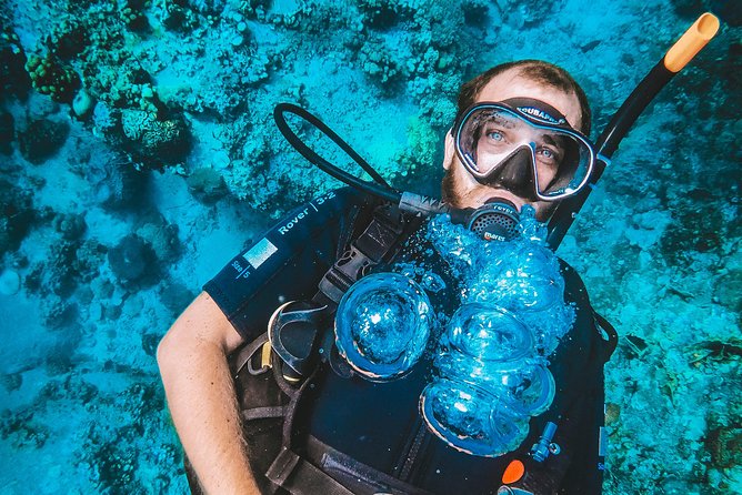 Try Scuba Diving - Pricing and Booking