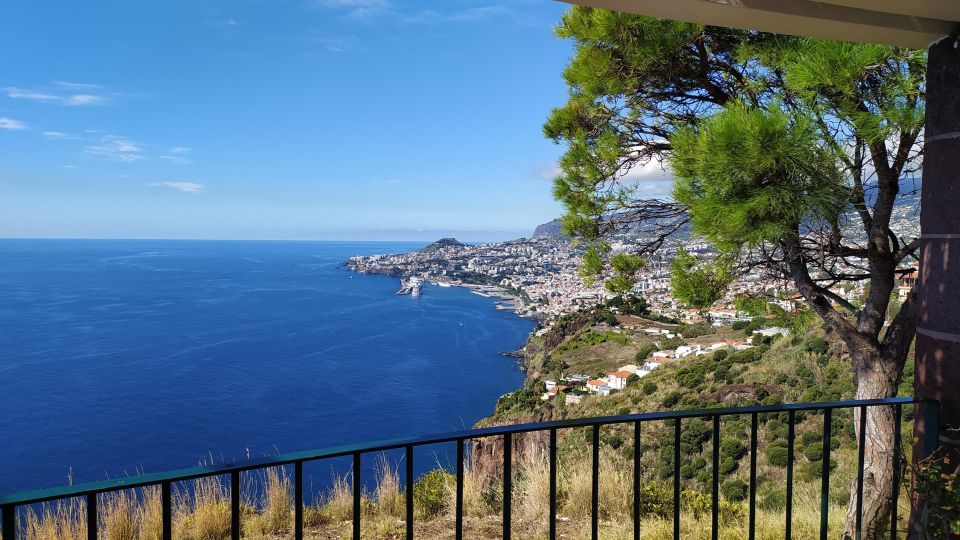 Tuk Tuk Cristo Rei - Madeira Island - Frequently Asked Questions