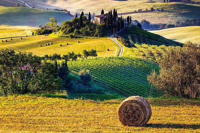 Tuscan Food and Wine Tour of Val Dorcia From Florence - Accessibility Considerations